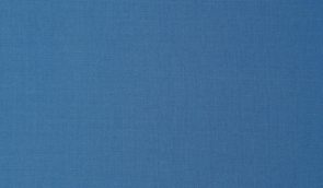 Fortis Blue